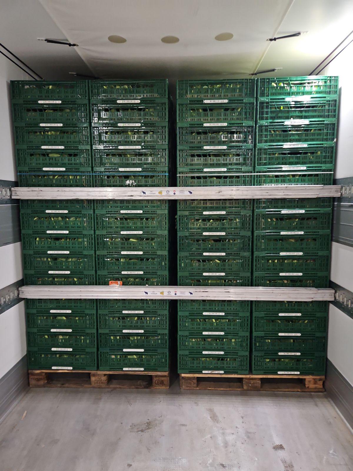 Codzienne dostawy świeżych warzyw w Gauzacargo.